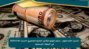تحديث هام اليوم.. سعر اليورو مقابل الجنيه المصري السبت 30-8-2025 في البنوك الرسمية